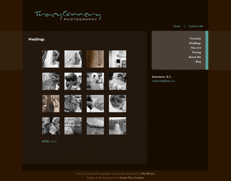 Website Design for Tracy Connery Photography by Swank Web Design